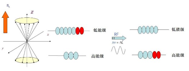 簾子布附膠量標(biāo)準(zhǔn)方法與低場核磁法介紹