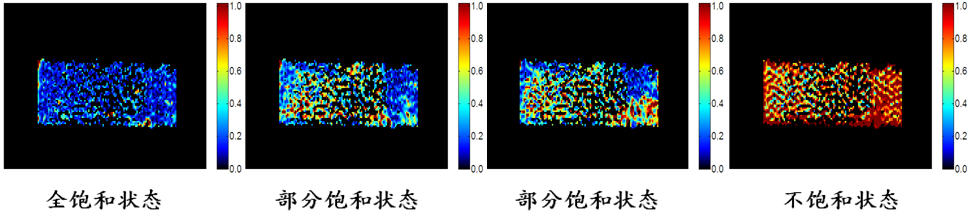 核磁共振驅(qū)替分析與成像在提高采收率方面的應(yīng)用